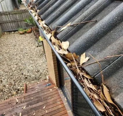 a gutter full of leaves and debris