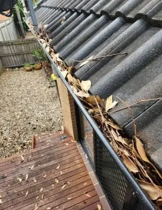 a roof covered in lichen/mould