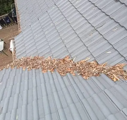 a gutter full of leaves and debris