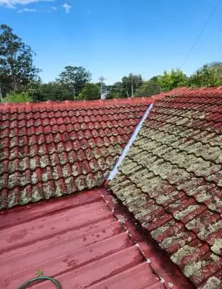 a roof covered in lichen/mould