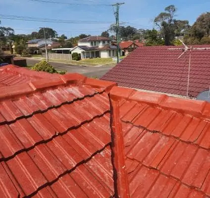ridgecaps on a roof freshly rebed and repointed